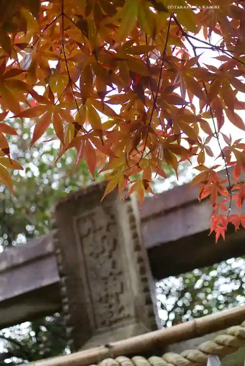 横浜御嶽神社(神奈川県)