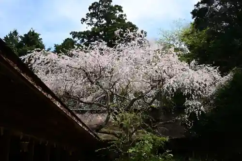 吉野水分神社（吉野町）(奈良県)