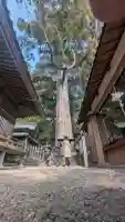 事任八幡宮(静岡県)
