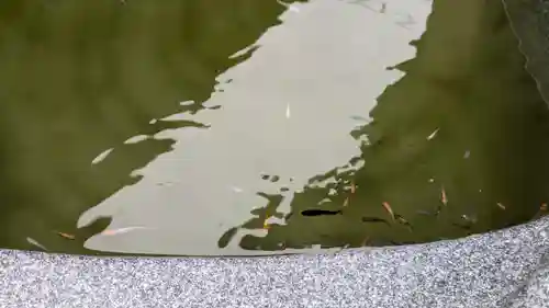 金樹寺(京都府)