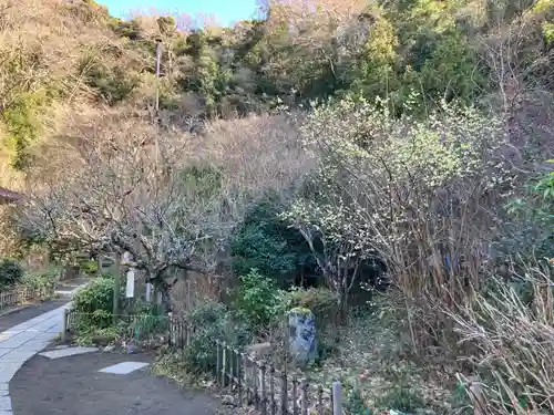黄梅院（円覚寺塔頭）(神奈川県)