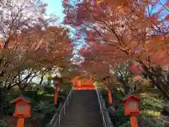 穴八幡宮の自然