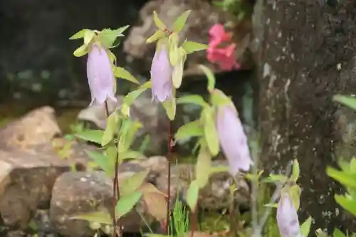 大鏑神社の自然