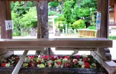 鳩森八幡神社(東京都)