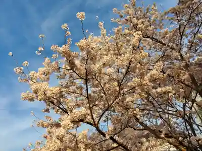 天が岡若宮神社の自然