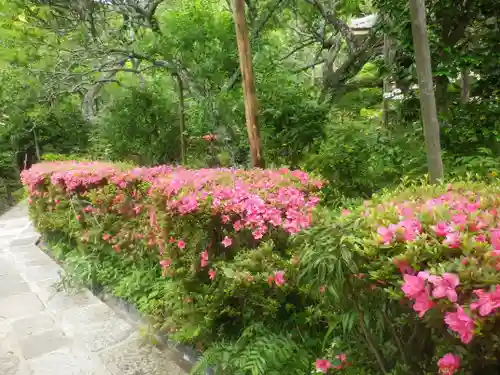 瑞泉寺の庭園