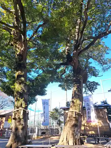 大宮・大原神社(千葉県)