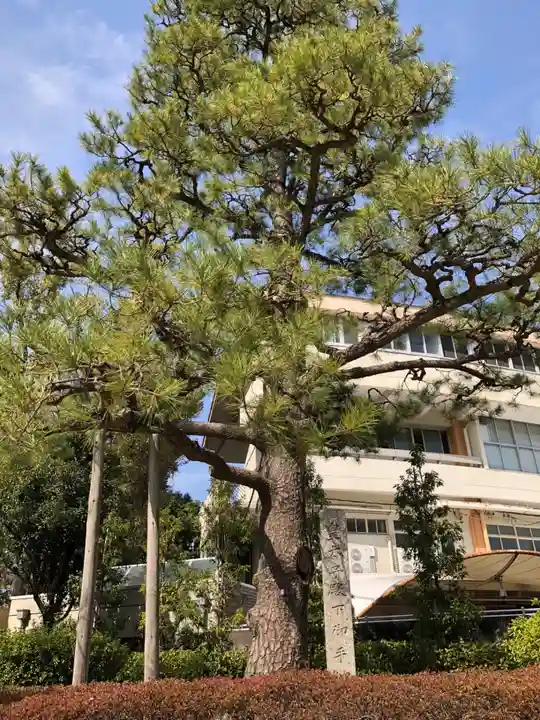豊國神社の自然