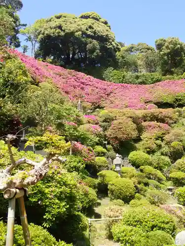 仏行寺（佛行寺）(神奈川県)