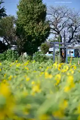 天照皇大神宮(神奈川県)
