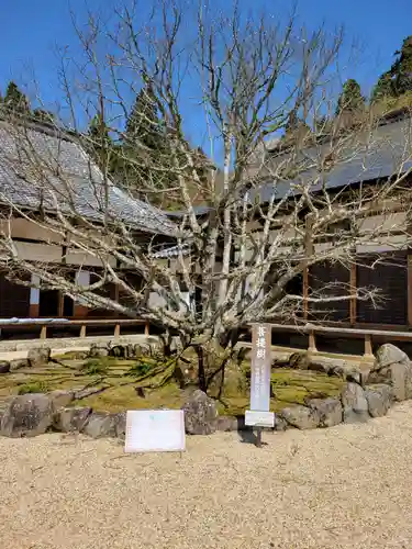 百済寺(滋賀県)