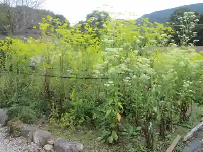 真性寺(埼玉県)