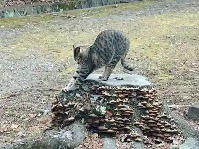 前山寺(長野県)