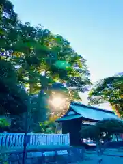 酒列磯前神社の建物その他