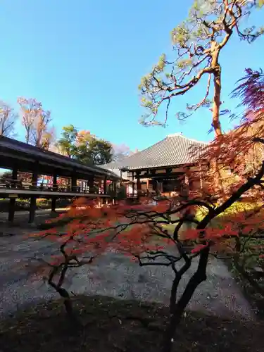 妙法寺(東京都)