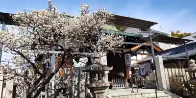 八坂神社(大阪府)