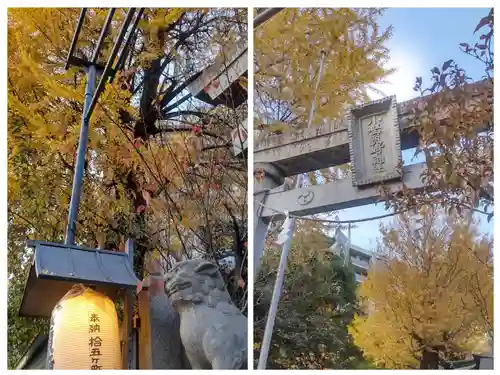 小野照崎神社(東京都)