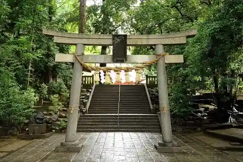 世田谷八幡宮の鳥居