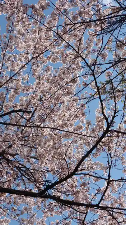 相馬神社(北海道)