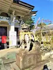 武雄神社の狛犬