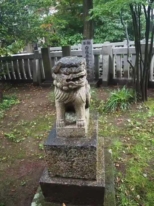 柳窪天神社(黒目川天神社) の狛犬