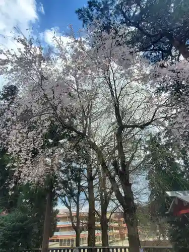 下野國一社八幡宮(栃木県)