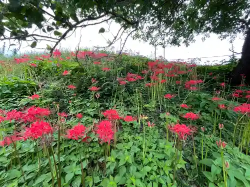 宝城坊(神奈川県)