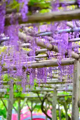 亀戸天神社(東京都)