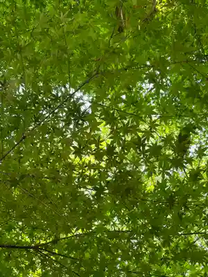 本土寺(千葉県)