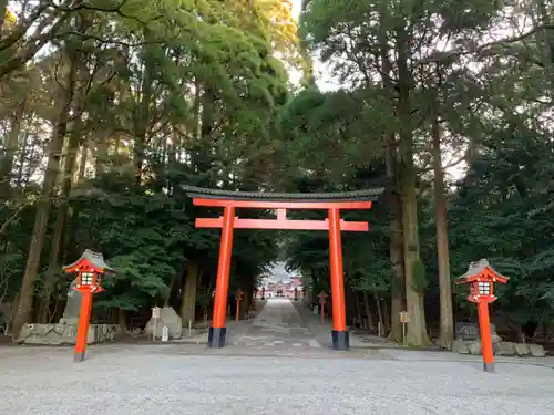 霧島神宮の鳥居