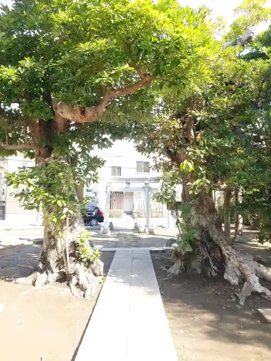 八坂大神の{uncategorized: "未分類", other: "その他", undefined: "問題あり", building: "その他建物", grave: "お墓", sacred_gate: "鳥居", guardian: "狛犬", statue: "像", buddha: "仏像", history: "歴史", nature: "自然", garden: "庭園", animal: "動物", pagoda: "塔", temizu: "手水舎", mountain_gate: "山門・神門", sanctuary: "本殿・本堂", subordinate: "末社・摂社", art: "芸術", scenery: "景色", jizo: "地蔵", ema: "絵馬", goshuin: "御朱印", omikuji: "おみくじ", items: "授与品その他", amulet: "お守り", goshuincho: "御朱印帳", eats: "食事", festival: "お祭り", votive_dance: "神楽", shichigosan: "七五三参", wedding: "結婚式", experience: "体験その他", initially: "初詣", around: "周辺", anti_infection: "感染症対策"}