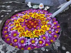 真言宗 善通寺派 薬王寺(香川県)(2025年11月22日(土) 19時30分40秒投稿)