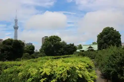 亀戸天神社の庭園