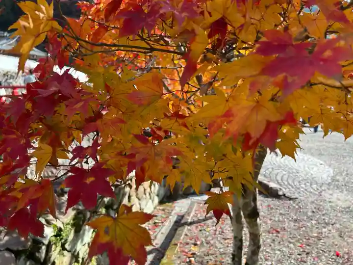 瀧安寺の{uncategorized: "未分類", other: "その他", undefined: "問題あり", building: "その他建物", grave: "お墓", sacred_gate: "鳥居", guardian: "狛犬", statue: "像", buddha: "仏像", history: "歴史", nature: "自然", garden: "庭園", animal: "動物", pagoda: "塔", temizu: "手水舎", mountain_gate: "山門・神門", sanctuary: "本殿・本堂", subordinate: "末社・摂社", art: "芸術", scenery: "景色", jizo: "地蔵", ema: "絵馬", goshuin: "御朱印", omikuji: "おみくじ", items: "授与品その他", amulet: "お守り", goshuincho: "御朱印帳", eats: "食事", festival: "お祭り", votive_dance: "神楽", shichigosan: "七五三参", wedding: "結婚式", experience: "体験その他", initially: "初詣", around: "周辺", anti_infection: "感染症対策"}