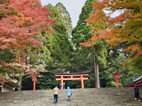 霧島神宮(鹿児島県)