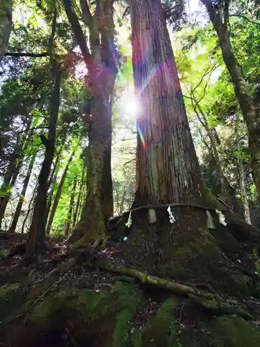 貴船神社奥宮(京都府)