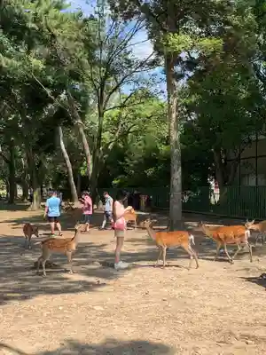 興福寺(奈良県)