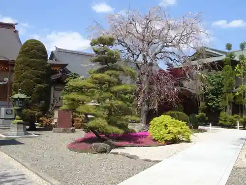 専称寺の庭園