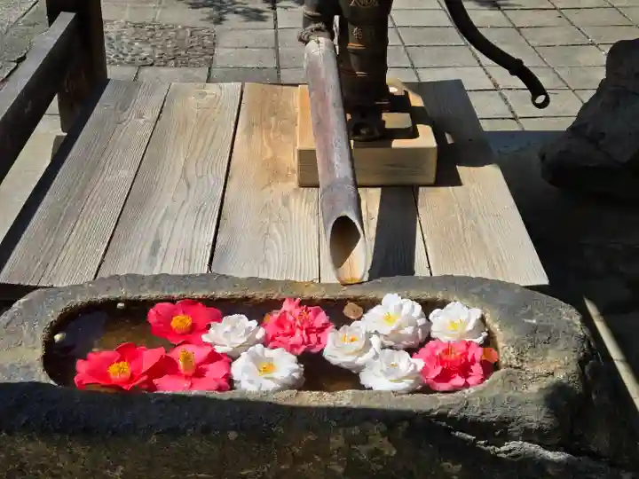 月蔵寺(大阪府)