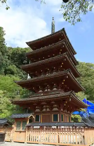 長谷寺(奈良県)