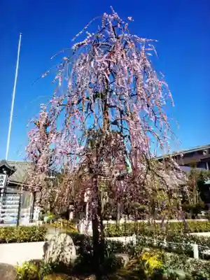 常性寺(東京都)