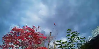 賀茂波爾神社（賀茂御祖神社境外摂社）(京都府)