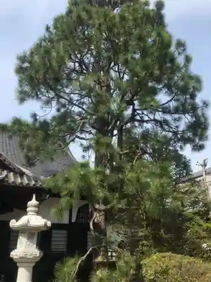 東昌寺の自然