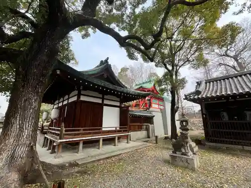 赤留比売命神社（杭全神社飛地境内社）(大阪府)