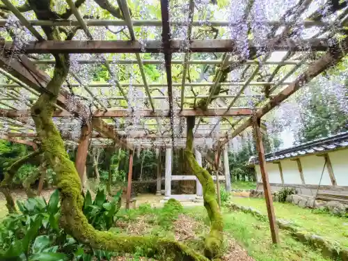 粟鹿神社(兵庫県)