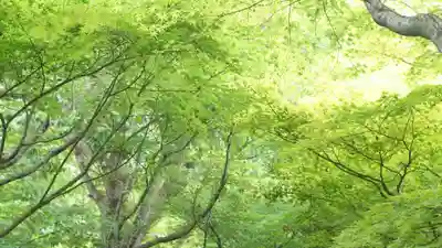 相国寺（相国承天禅寺）(京都府)