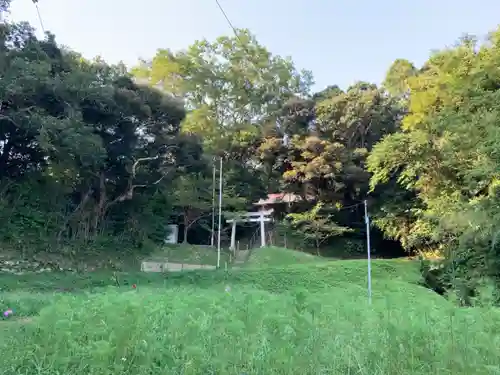 八幡神社の鳥居