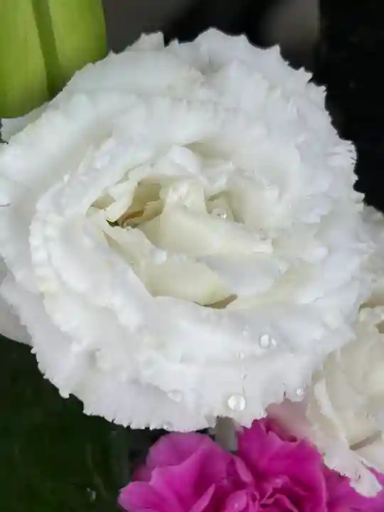 上尾御嶽神社の手水舎