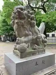 於菊稲荷神社の狛犬