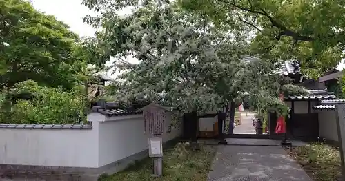 井際山 如意輪寺の山門